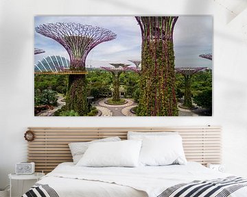 Supertree Grove - Singapore van Raymond Gerritsen