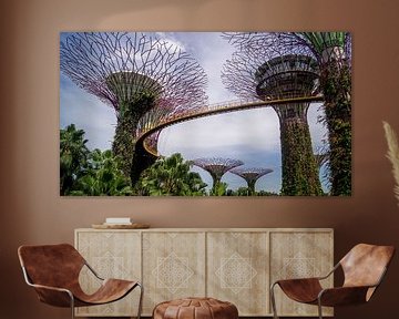 Supertree Grove - Singapore von Raymond Gerritsen