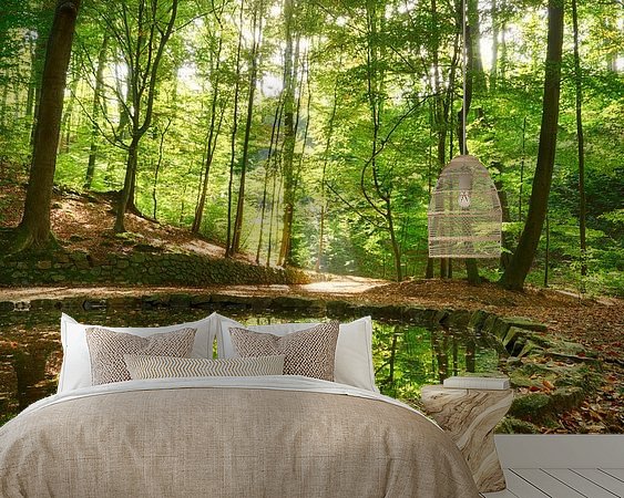 Aperçu de la chambre