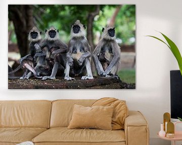 Monkey business sur René Meester