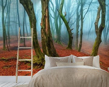 A Misty Invitation by Lars van de Goor