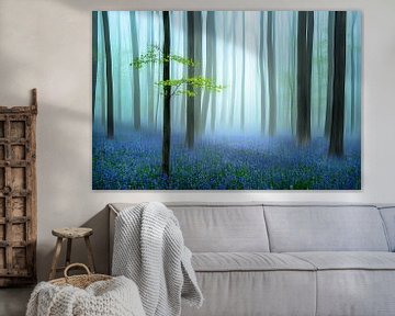 la forêt bleue.... sur Piet Haaksma