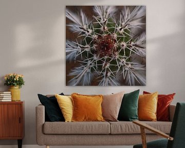 cactus mandala