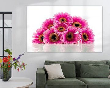 pink gerbera isolated on white van ChrisWillemsen