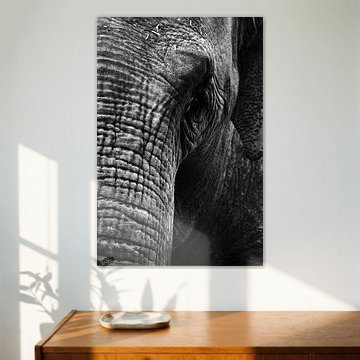 Olifant