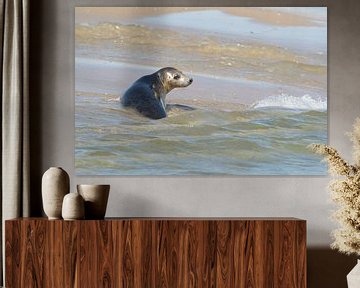 Grijze Zeehond van Art Wittingen