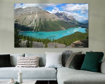 Peyto Lake - Banff by Bas Verhoogt