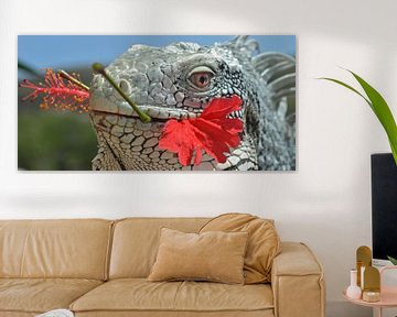 iguana with hibiscus