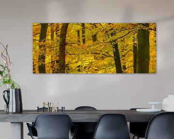 Vue de forêt de chute avec des arbres de hêtre et des feuilles d'or