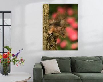 Eekhoorn met bloemen achtergrond by Art Wittingen