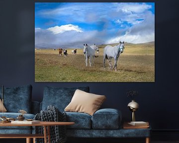 Cotopaxi paarden van Peter Vruggink