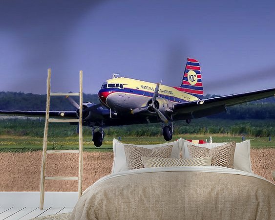 Aperçu de la chambre