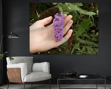 red flowers by Sharon Peters