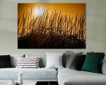 Silhouet van grashalmen von Edwin van Wijk
