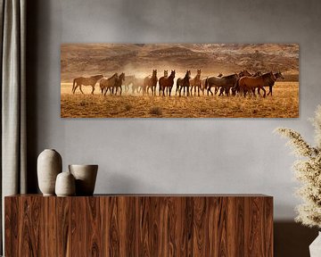 Wild Horses von Gerard Burgstede