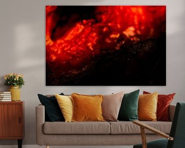 Fruit flies in lava by Roel Verver