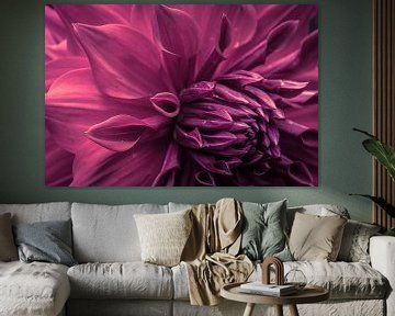 Prachtige paarse dahlia van Stedom Fotografie