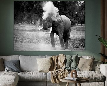 Elephant Blowing Dust van Jonathan Rusch