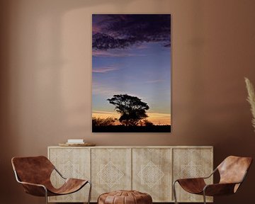 African Tree at Sunset