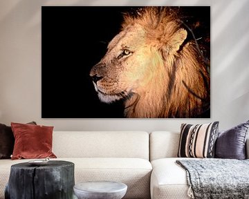 Lion by Night van Jonathan Rusch