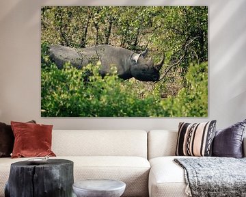 Black Rhino in the Bushes van Jonathan Rusch