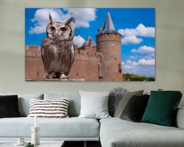 Hibou au château de Muiderslot sur Mark Verhagen