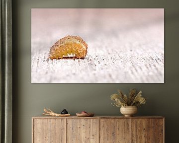 minimalistisch rups macro