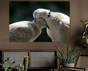 Love at the lovebird by Anneke Kooiker