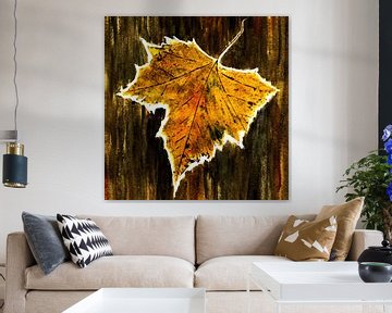 Autumn - Maple Leaf by Christine Nöhmeier