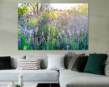 Lavendel in bloei bij zonnig licht van Fotografiecor .nl