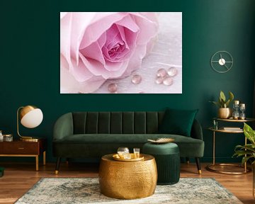 Zacht roze roos met druppels van LHJB Photography