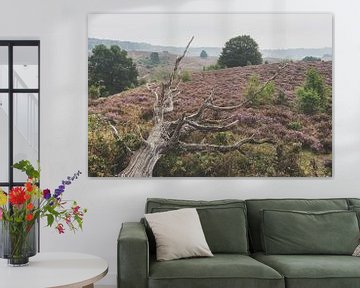 Bloeiende paarse heide van Fotografiecor .nl