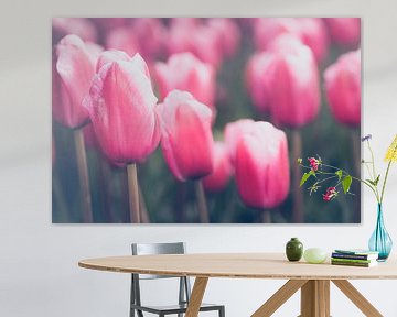 Bloeiende roze tulpen in landschap van Fotografiecor .nl
