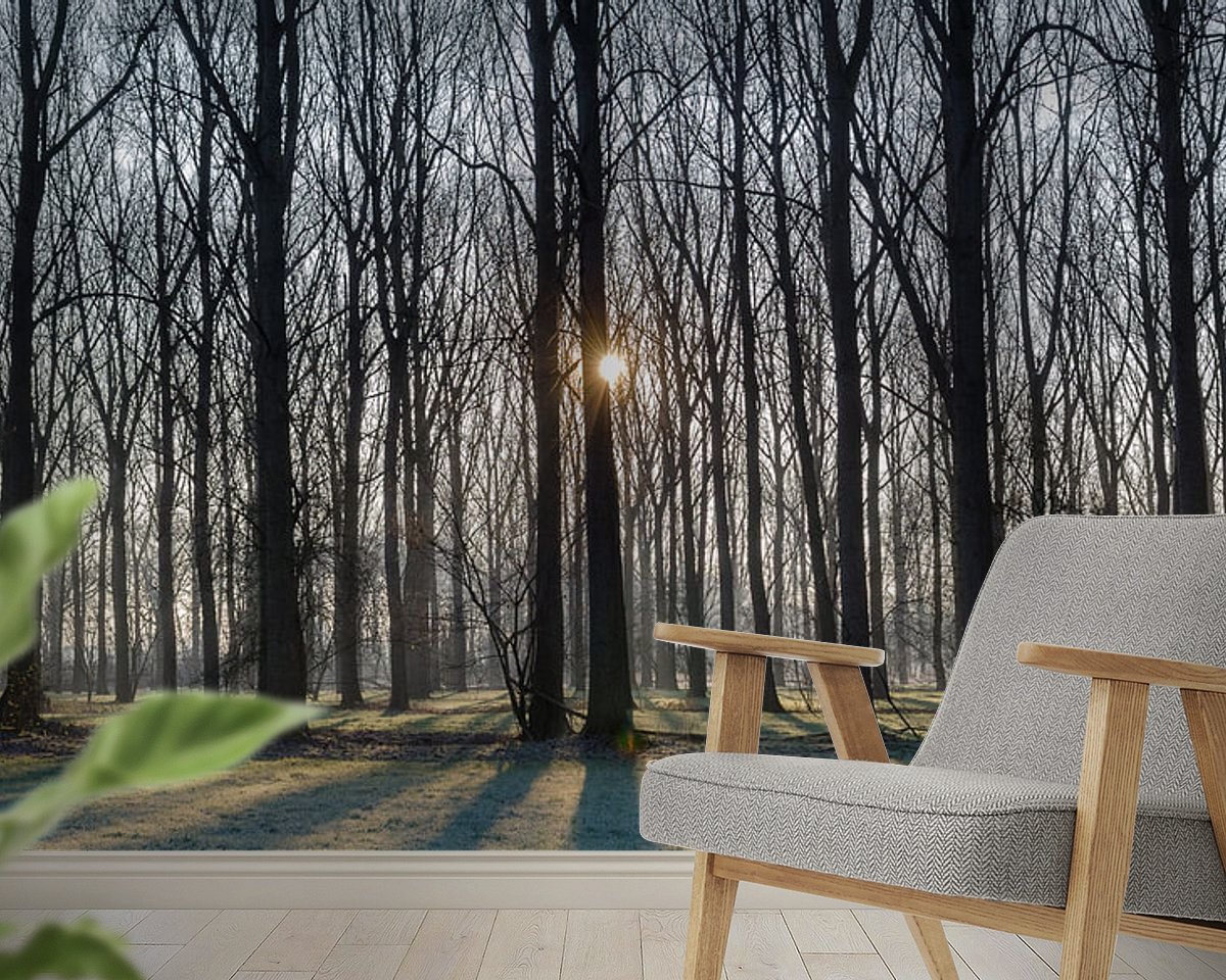 Raumvorschau
