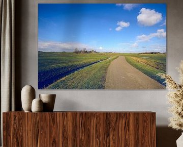 Wide view on Dutch landscape with meadow and cloudy skies by Fotografiecor .nl