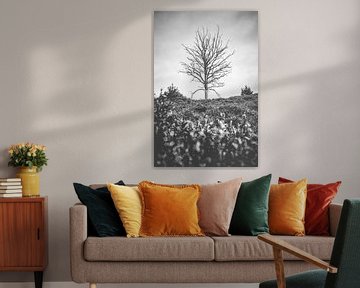 Toter Baum in Heide-Landschaft von Fotografiecor .nl