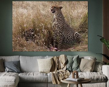 Cheetah met jong  von René & Yvonne Claassen