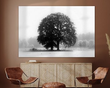 Lonely tree van Harold Wilke