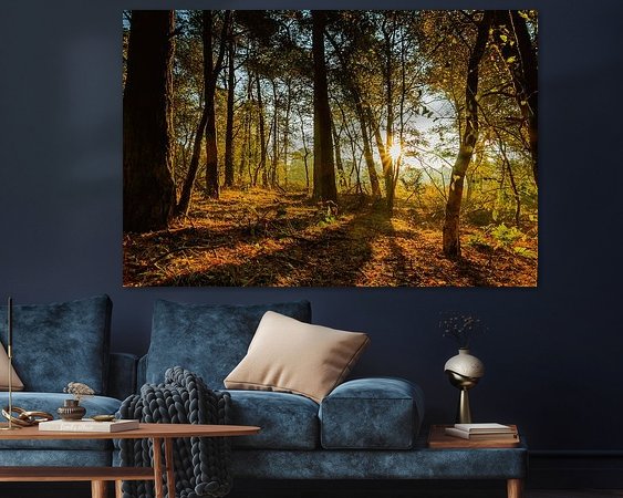 Aperçu de la chambre