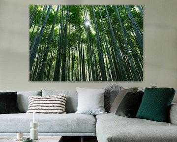Arashiyama Bamboo Grove van Koen van Tartwijk