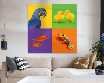 Dieren in kleur by Elles Rijsdijk