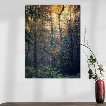 Transitions 2 (Impression automnale)