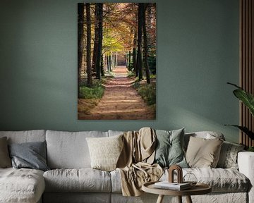 Doorkijk van wandelpad in het bos van Fotografiecor .nl