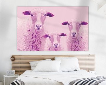 Sheep vun Diek - Schafe vom Elbdeich 