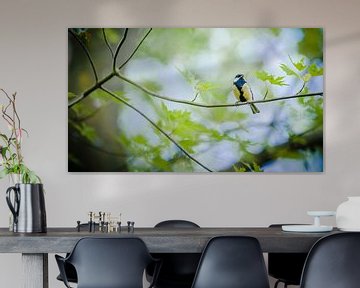 La Grande Mésange jaune est assise tranquillement en sifflant sur une branche d'arbre verte sur Fotografiecor .nl