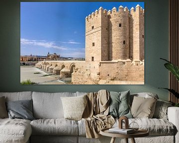 The Roman bridge over the Guadalquivir river in Cordoba, Spain by Fotografiecor .nl