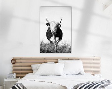 rund by Nienke Stegeman