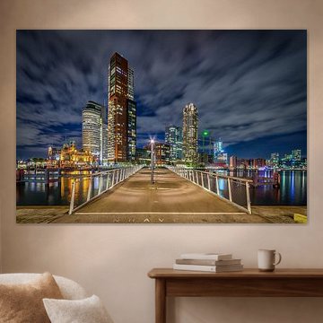 Rotterdam Wilhelminapier and Rijnhavenbrug