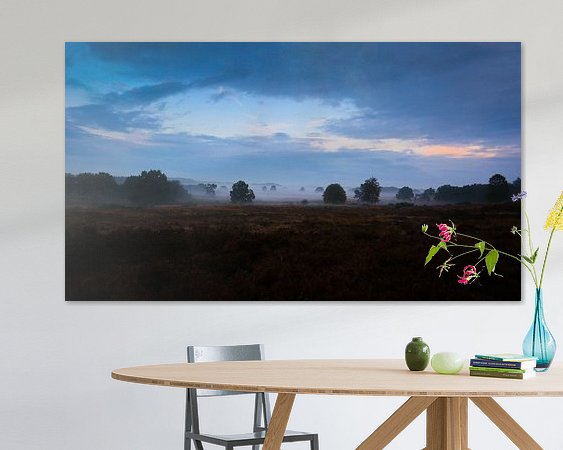 Aperçu de la chambre