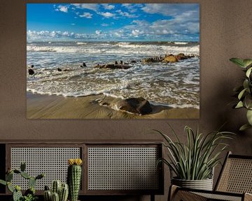 Baltic Sea coast on a stormy day by Rico Ködder